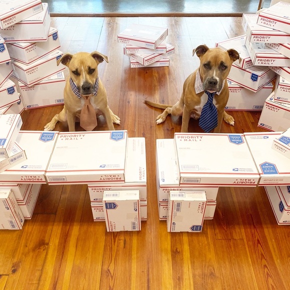 BUNDLE & SAVE ON SHIPPING! πππ - Picture 5 of 16